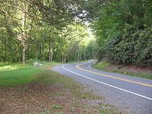 一条双车道的公路弯弯曲曲地穿过一片绿色的森林，左边是草地。