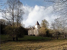 The chateau in Domecy-sur-le-Vault (2009)