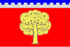 杜布羅夫卡旗幟