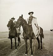 Csikós on bay horses, 1935