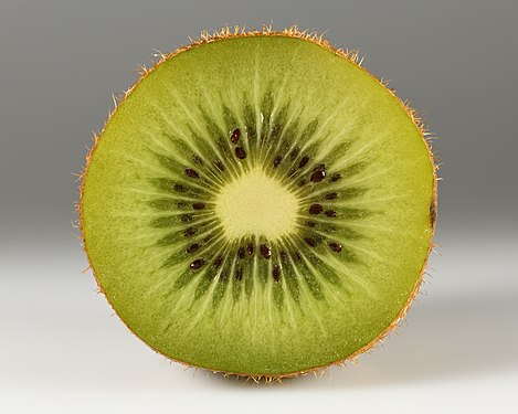 Kiwifruit by Ivar Leidus