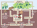 Image 11Biological nitrogen cycling (from Ecosystem)