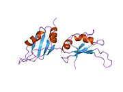 1up1: UP1, THE TWO RNA-RECOGNITION MOTIF DOMAIN OF HNRNP A1