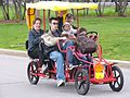 A tourist rental quadracycle, a Quadricycle International Q-Cycle-6