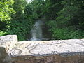 Birns Water, lichen on Saltoun bridge