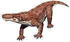 Scylacosaurus sclateri