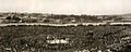 1908 年世界重量級拳擊比賽，創紀錄的 20,000 人參加了拉什卡特斯灣競技場，該體育場於 1970 年被拆除，為新的悉尼東郊鐵路線讓路