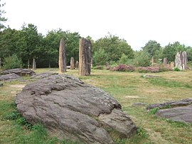 The Menhirs de Monteneuf, archeological site in Monteneuf