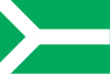 Flag of Zestaponi Municipality