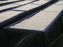 Maraba coffee drying on racks