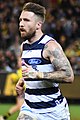 Zach Tuohy former gaelic footballer playing for Geelong in 2018 is from Portlaoise