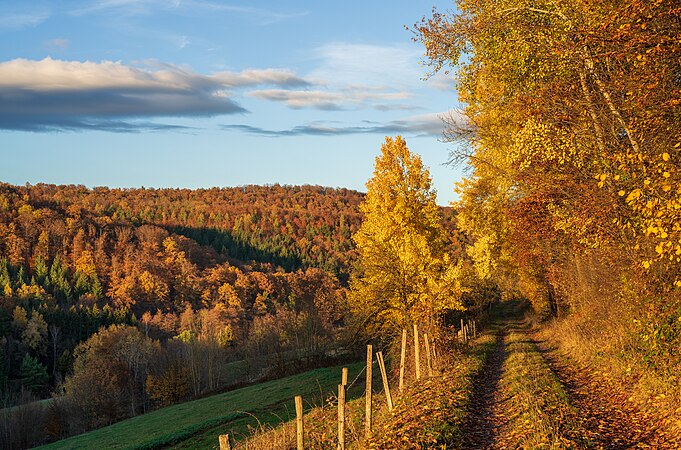 德國符騰堡州貝爾施泰因附近一條古老鄉村小徑的秋景。