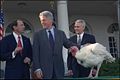 1999年，美國總統比爾·柯林頓參與第十一屆年度感恩節火雞赦免儀式