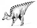 Corythosaurus, a lambeosaurine hadrosaurid.