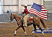 Horse with rider carrying US flag