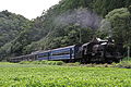 C56 44 operating on the Oigawa Railway in August 2012