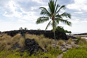 Maliu Point, Honokohau bay, Park Big island, Hawaii