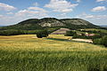 Vineyeards under Kotel and Děvín hills