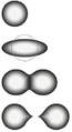 Image 78The stages of binary fission in a liquid drop model. Energy input deforms the nucleus into a fat "cigar" shape, then a "peanut" shape, followed by binary fission as the two lobes exceed the short-range nuclear force attraction distance, and are then pushed apart and away by their electrical charge. In the liquid drop model, the two fission fragments are predicted to be the same size. The nuclear shell model allows for them to differ in size, as usually experimentally observed. (from Nuclear fission)