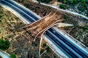 WildlifeCrossingRoad38IsraelOct092022 02.jpg