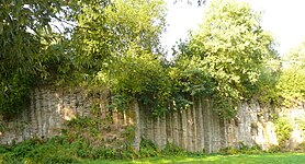 The Bühren Organ Pipes