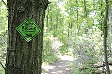 Apshawa Preserve Hiking Trail-Green Trail Marker