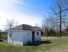 Gum-Tree-Voting-House-ky