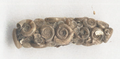 一种沼石蛾（英语：Limnephilus）（Limnephilus flavicornis）以蜗牛壳制成的外壳