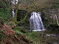 Lynn Spout on the Caaf Water; illustrating the thick limestone deposits in this area