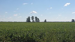 Countryside around the Mayberry Village Site