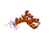 2gyt: Solution structure of the SAM (sterile alpha motif) domain of DLC1 (deleted in liver cancer 1)