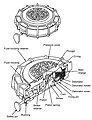 Blast mine - Italian VS-MK2 (cross-sectional view)