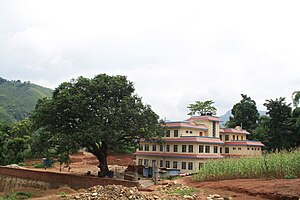 Waling Nagarpalika