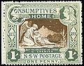 1897年新南威尔士发行的附捐邮票，也是世界上最早的附捐邮票，面值1便士，实际售价1先令。
