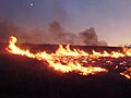 Image 48Lightning-sparked wildfires are frequent occurrences during the dry summer season in Nevada. (from Wildfire)