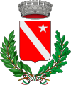 卡尔蒂尼亚诺徽章