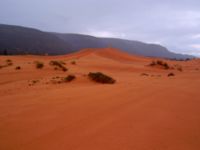 Coral Pink Sand Dunes State Park