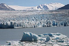 格雷冰川（英语：Grey Glacier）