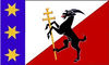Flag of Rokytnice