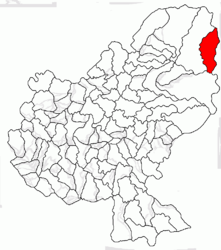 Location in Mureș County