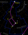 Ursa Minor constellation map negative.png