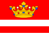 Flag of Vítějeves