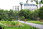 Victoria Embankment Gardens