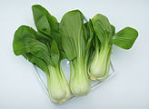 Shanghai bok choy