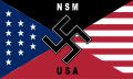 国家社会主义运动 (美国)（英语：National Socialist Movement (United States)）旗帜