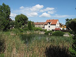 Pond in the centre of Rabyně