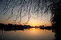 The sunset over the Thames from Wandsworth Park