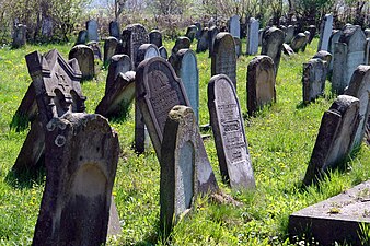 The Jewish cemetery