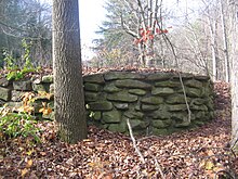 在一个有树干的杂草丛生的地方，有一堵粗糙的石墙，由几层混凝土扁石制成。