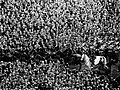 Mounted police, including one on a white horse, maintaining order at the FA Cup Final